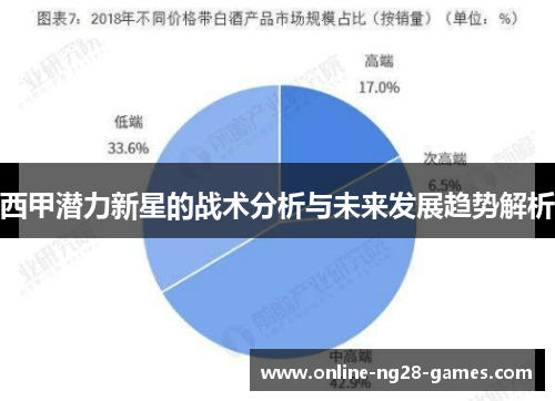 西甲潜力新星的战术分析与未来发展趋势解析